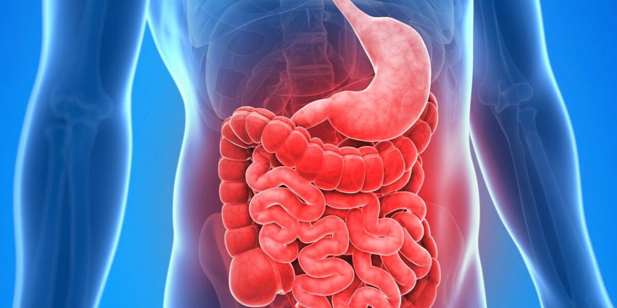 Leaky Gut Syndrome Treatment