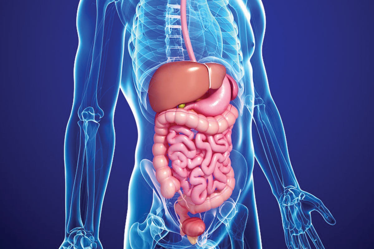 The Relationship between Anemia and Leaky Gut Syndrome